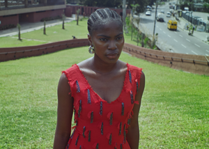 TORI DRESS image 2